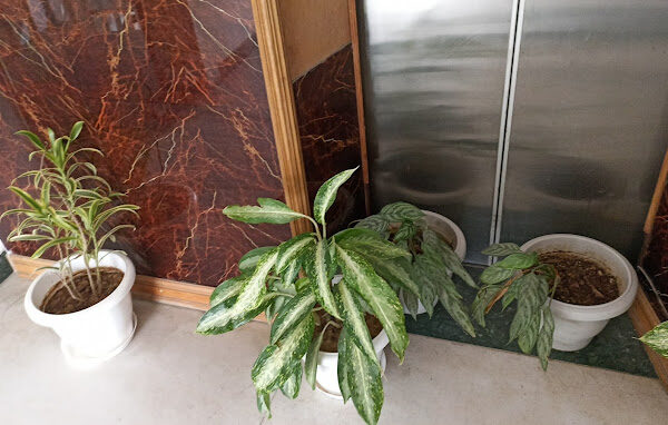 Awfis N.M. Marg Vasant Kunj Allied House - Copy