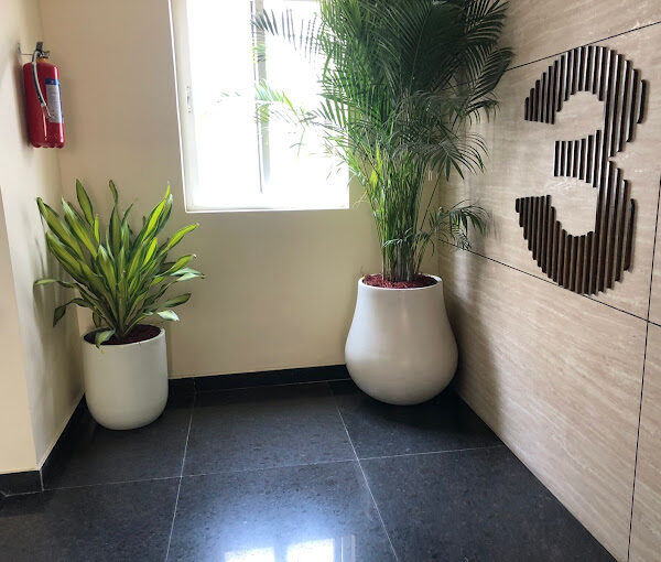 Cws One Coworking Space in Hyderabad